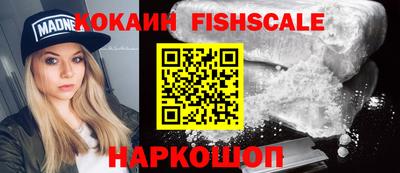 дмт Гай