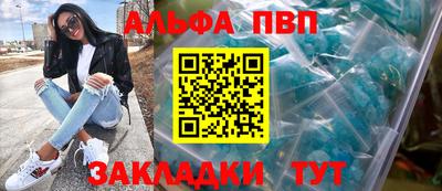 дмт Гай