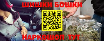 дмт Гай