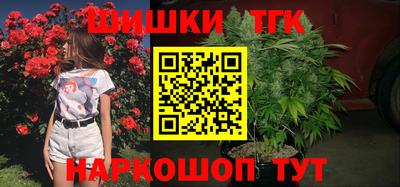 дмт Гай