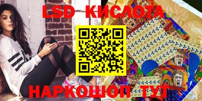 дмт Гай
