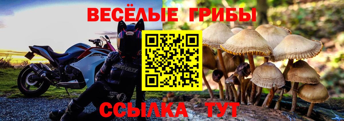 COCAIN  ГАШ  Ноябрьск  Вход с VPN  Альфа ПВП СОЛЬ кристаллы  Меф МЯУ МЯУ кристаллы  Конопля  МДМА 