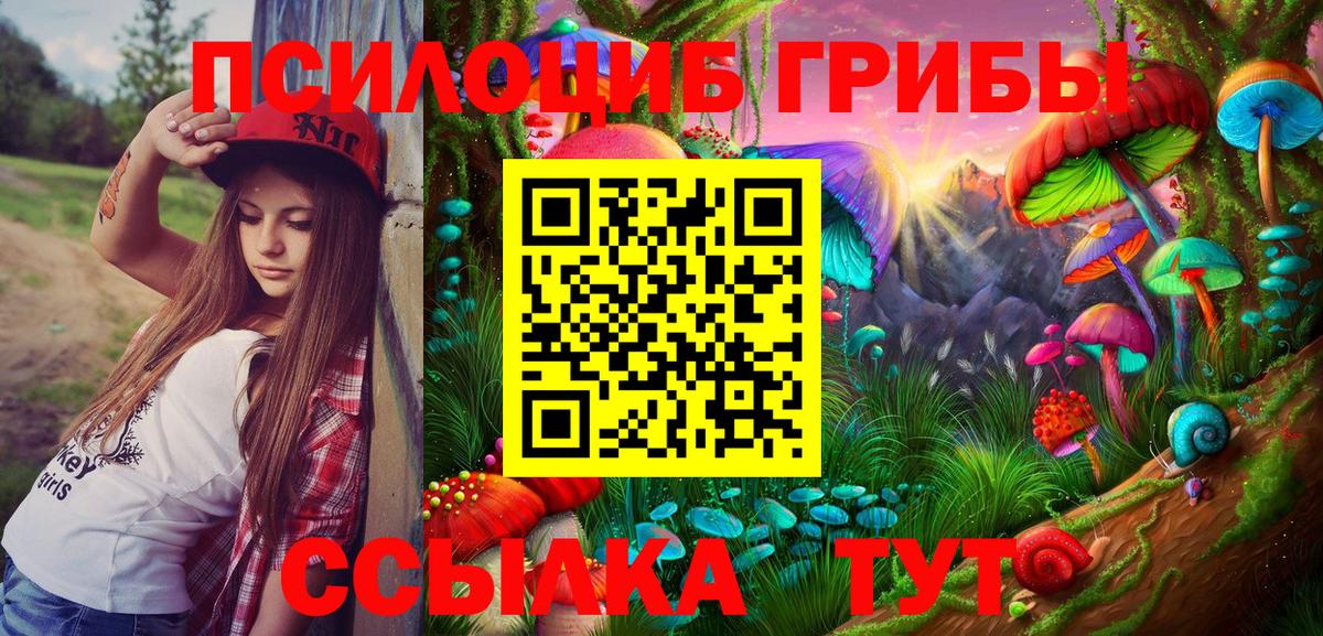 Псилоцибиновые грибы мухоморы Ноябрьск